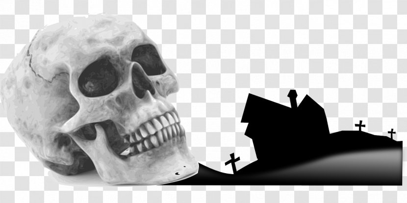 Skull Human Skeleton Drawing Transparent PNG
