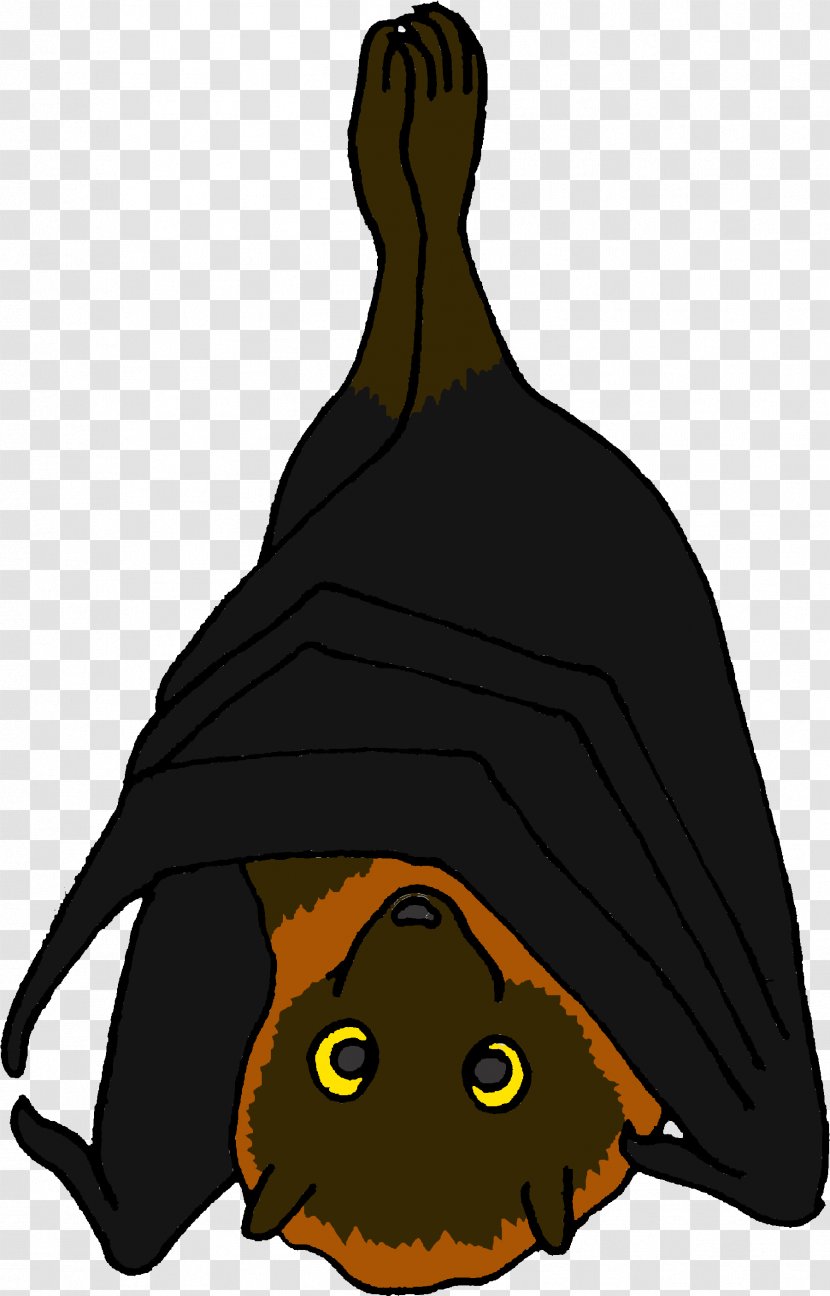Witch Cartoon - Rodrigues Flying Fox - Hat Bat Transparent PNG