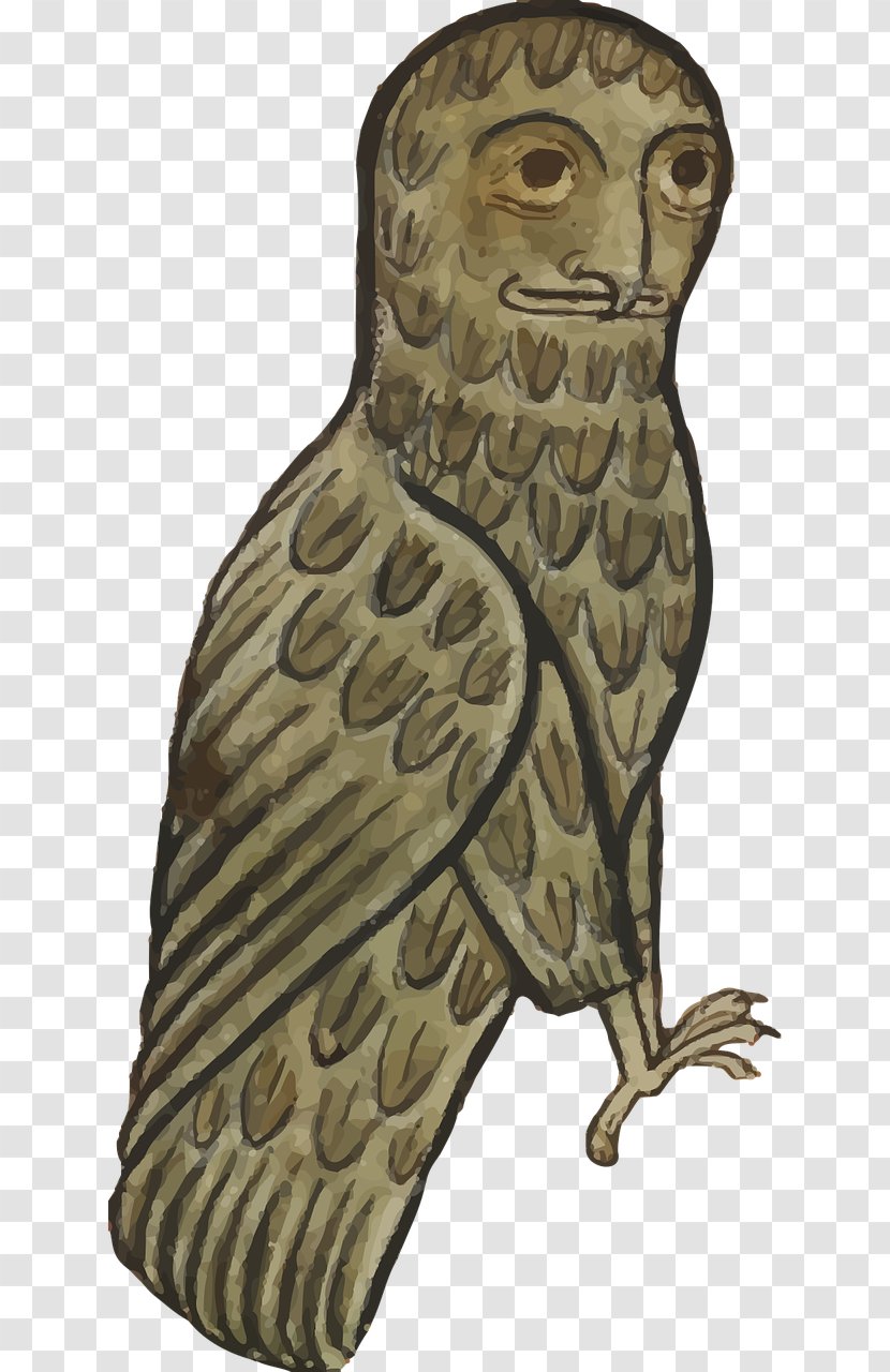 Middle Ages Owl Library - Bird Of Prey - Brown Spots Sparrow Transparent PNG