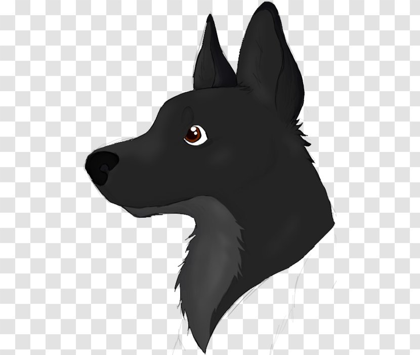 Schipperke Dog Breed Whiskers Snout - Nose Transparent PNG
