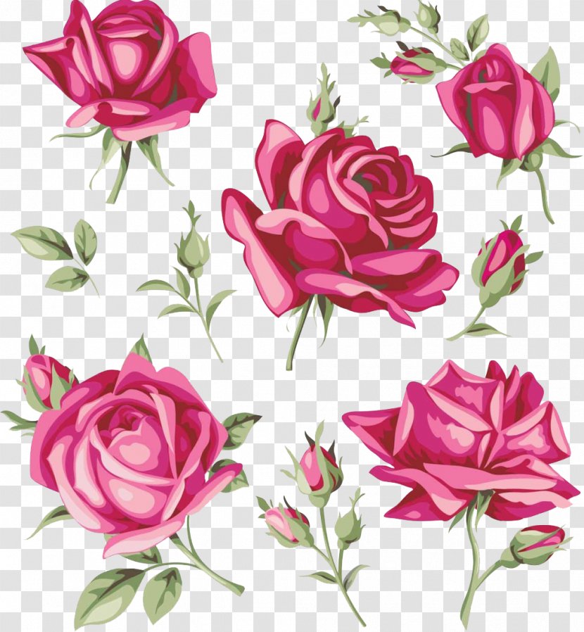 Rose Flower Bud - Pink - Watercolor Transparent PNG