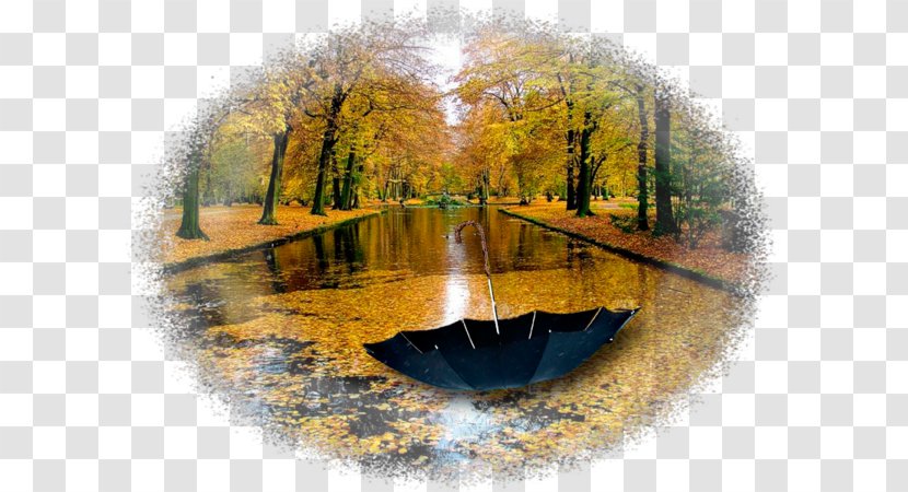 Nature Autumn Rain Yandex Water Resources - Heart Transparent PNG