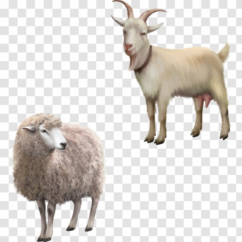 Rove Goat Stock Photography Royalty-free Clip Art - Antelope - Cartoon Sheep Transparent PNG