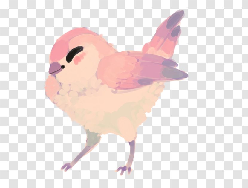 Fauna Beak Feather Chicken As Food Transparent PNG