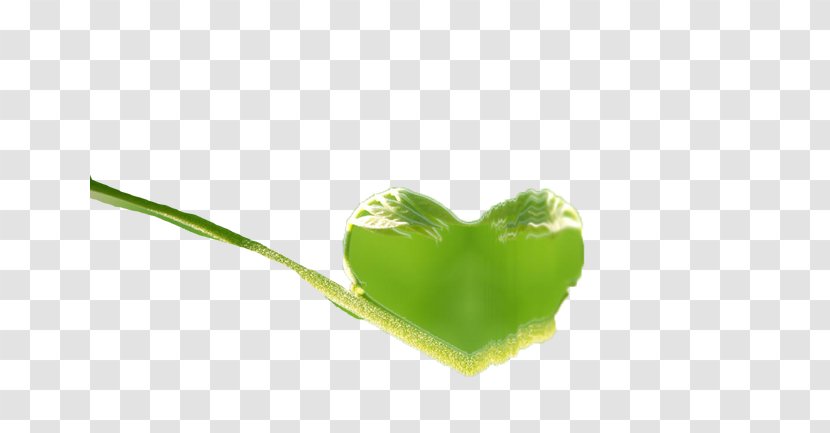 Heart Leaf Computer Wallpaper - Love Transparent PNG