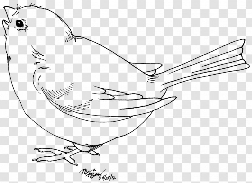 Bird Domestic Canary Finch Lark Clip Art - Drawing - Cliparts Transparent PNG