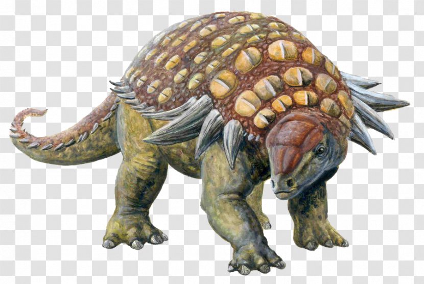 Edmontonia Sauropelta Ankylosaurus Dinosaur Armour - Ankylosauria - Animal Skull Transparent PNG