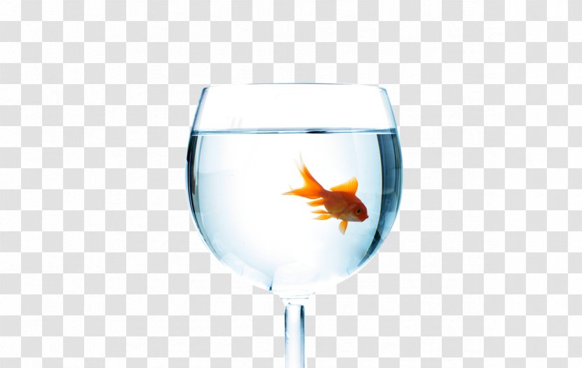 Wine Glass Cup Fish - Chalice - Goldfish Transparent PNG