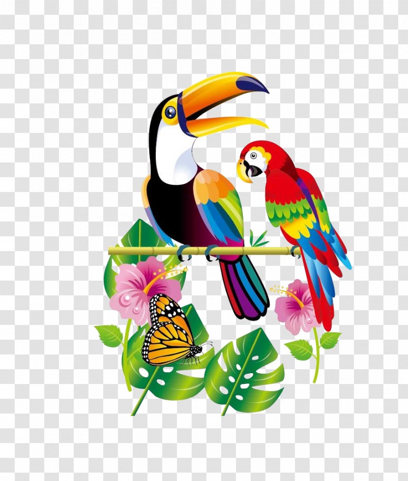Parrot Bird Toucan - Vertebrate - Flowers Transparent PNG