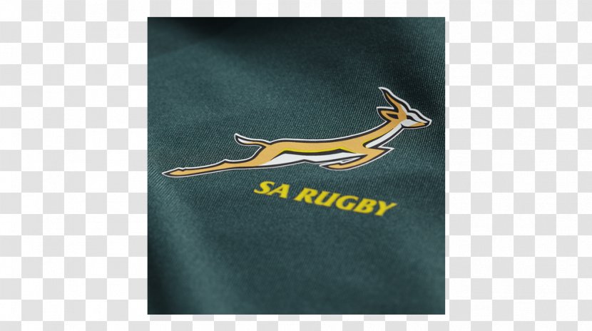 South Africa National Rugby Union Team Green Bottle ASICS - Asics Transparent PNG