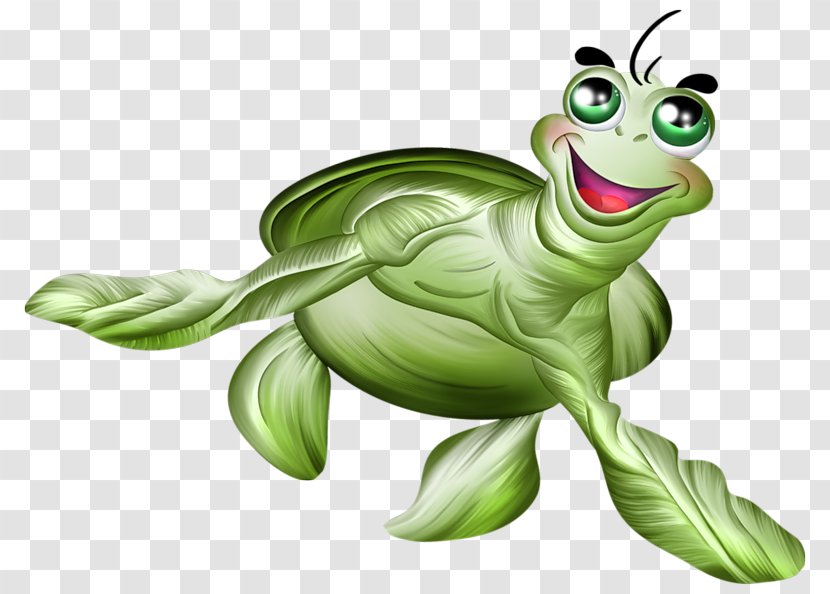 Painted Turtle Drawing Illustration - Organism Transparent PNG
