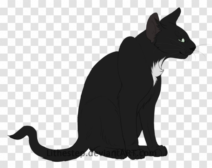 Black Cat Kitten Whiskers Domestic Short-haired - Rat Transparent PNG