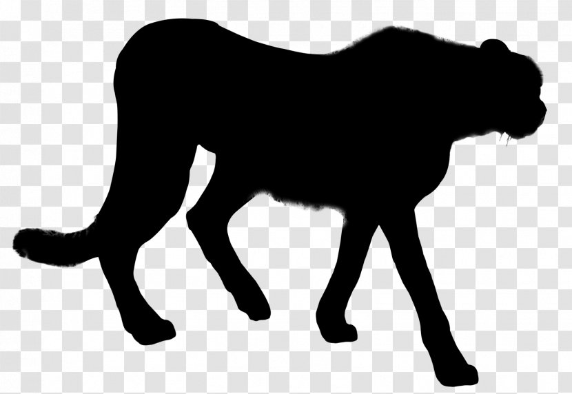 Lion Dog Cat Mammal Horse - Black M Transparent PNG