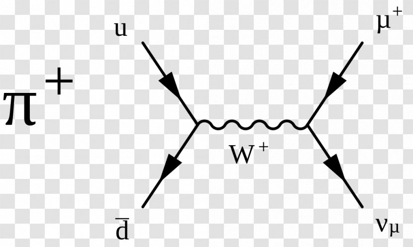 Pion Weak Interaction Meson Feynman Diagram Particle Decay - Frame Transparent PNG