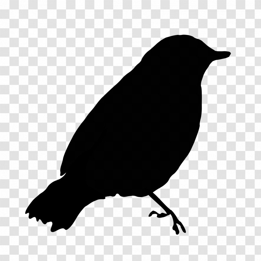 Bird Drawing Clip Art - Black And White - Cupboard Transparent PNG