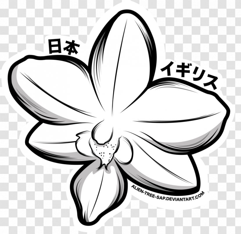 Cut Flowers White Line Art Clip - Flora - Design Transparent PNG