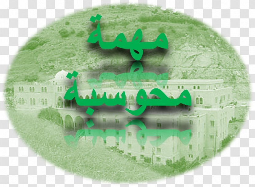 Nabi Shu'ayb Brand - Grass Transparent PNG