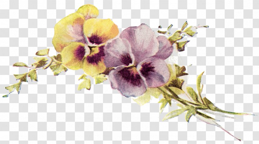 Pansy Clip Art Image Flower Design - Antique Transparent PNG