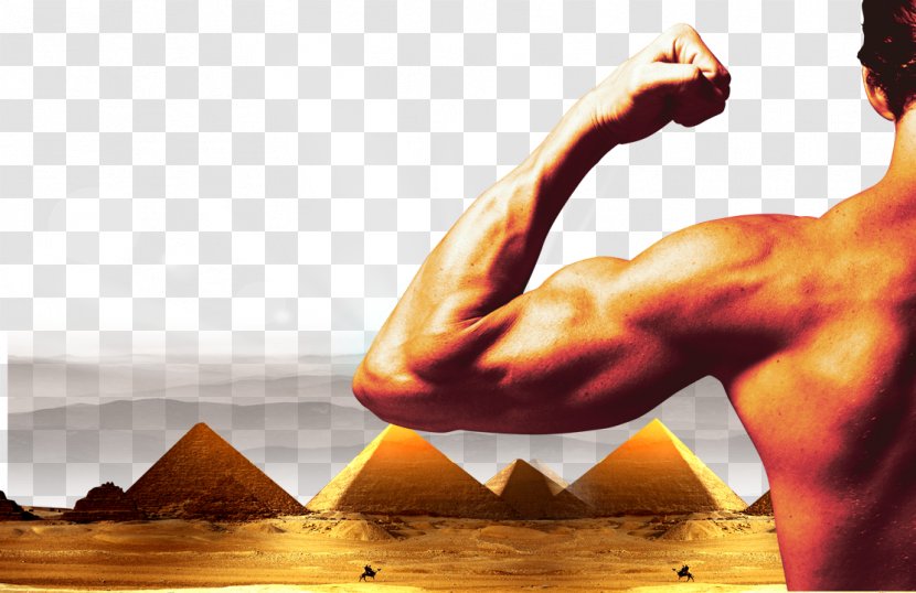 Muscle Management Business Industry - Pyramid Background People Transparent PNG