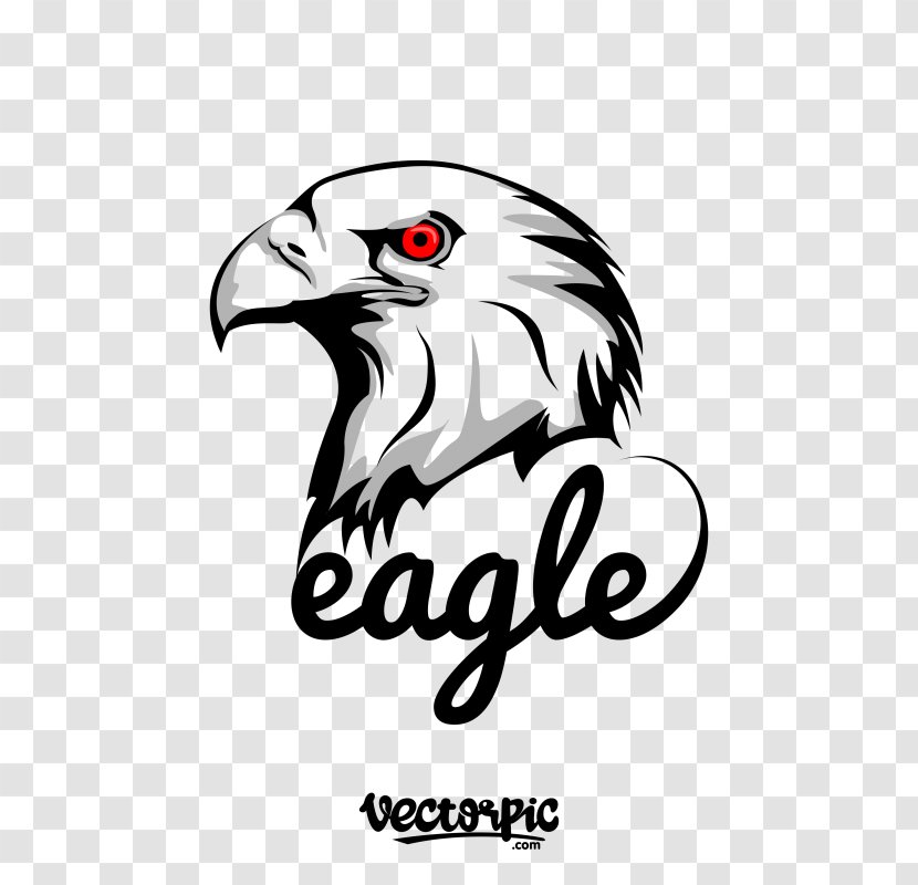 Logo Vector Graphics Eagle Design CorelDRAW - Accommodation - West Coast Eagles Transparent PNG