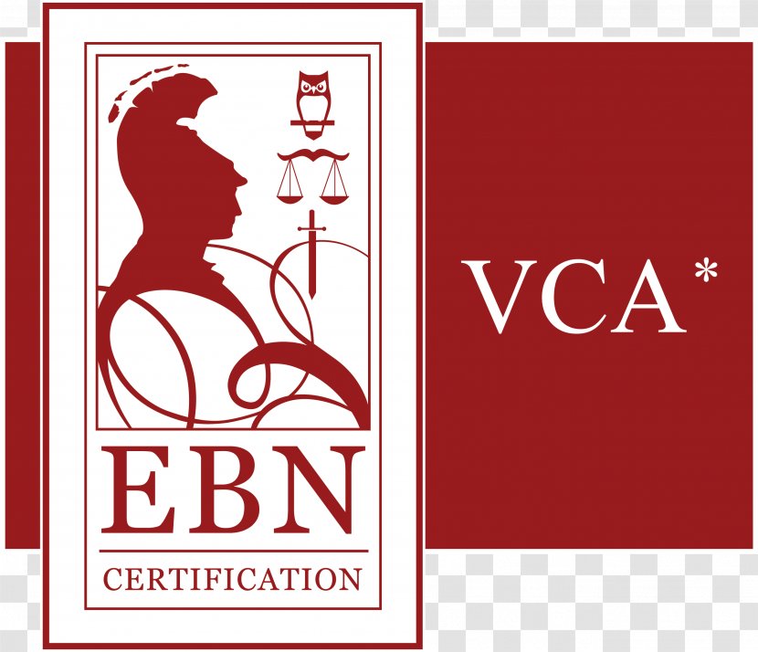 Ebn Certification BV ISO 9001 Sicherheits Certifikat Contraktoren Akademický Certifikát - Ster Transparent PNG