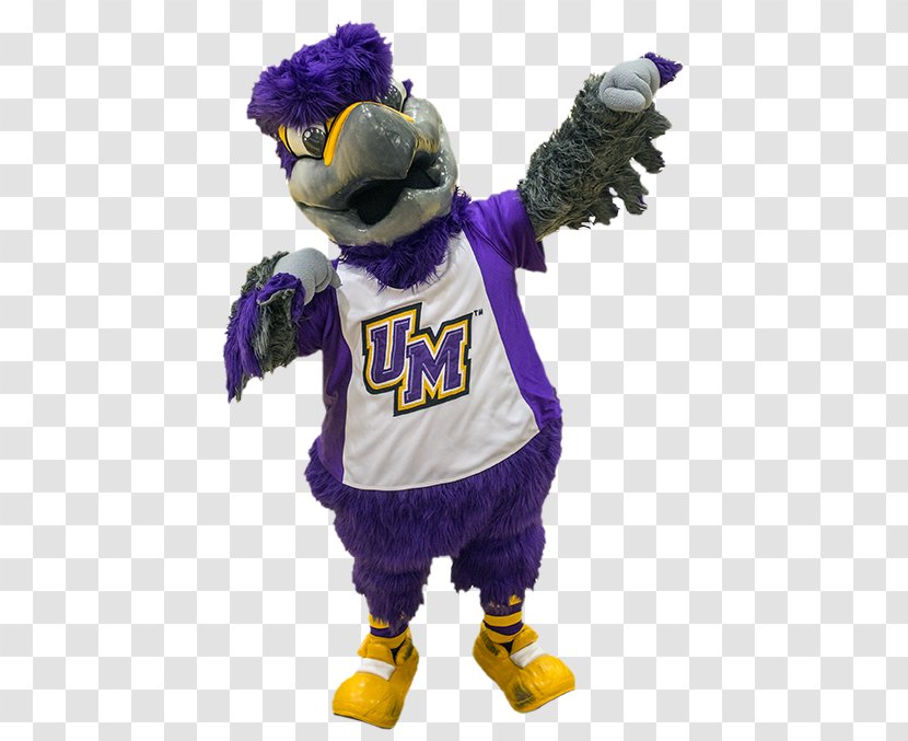 University Of Montevallo Mascot Michigan State Miami Freddie Falcon - Alabama Am Transparent PNG