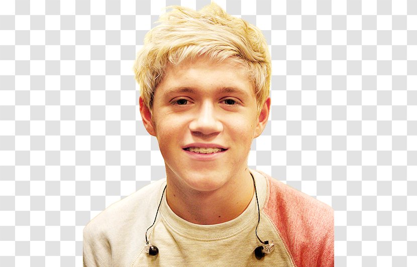 Niall Horan One Direction: This Is Us Mullingar - Heart - Direction Transparent PNG