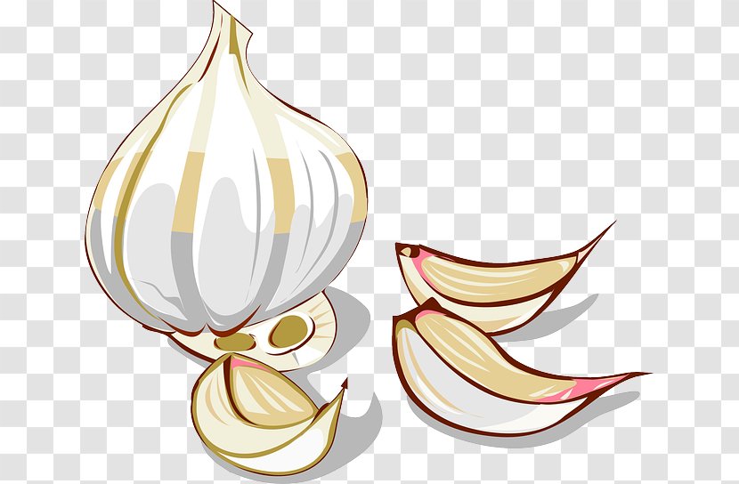 Garlic Onion Vegetable Clip Art - Cartoon Transparent PNG