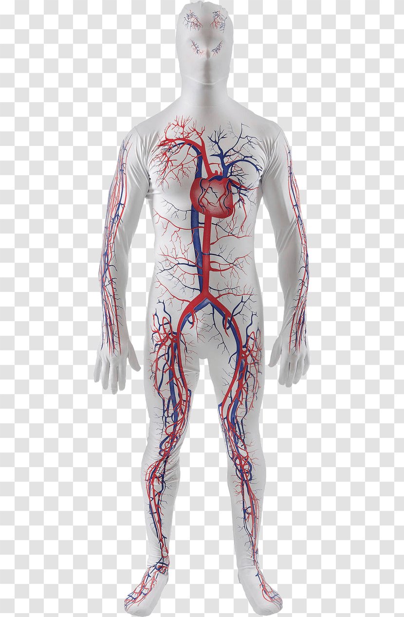 Tracksuit Circulatory System Costume Human Body - Cartoon Transparent PNG
