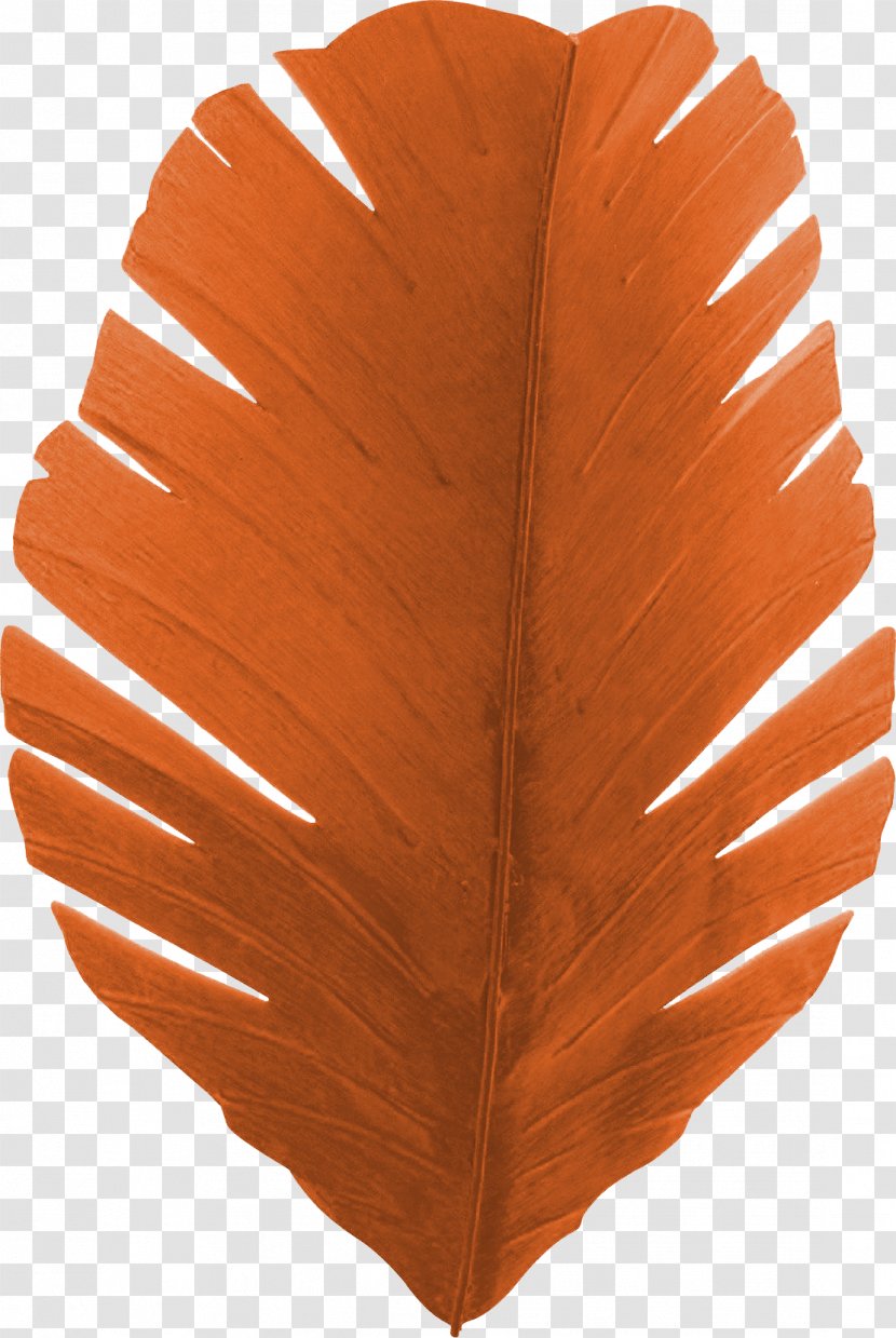 Banana Leaf Light Sconce - Silhouette - Beautiful Orange Feather Transparent PNG