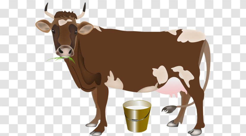 Holstein Friesian Cattle Calf Milk Dairy Farm - Horn Transparent PNG
