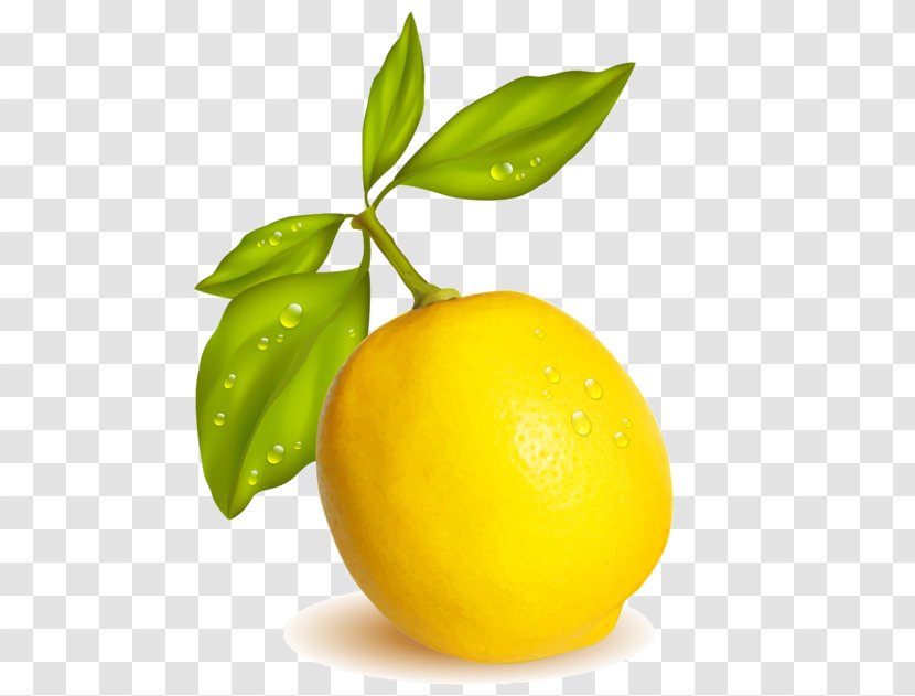 Lemon-lime Drink Meyer Lemon Persian Lime Sweet - Lemonlime Transparent PNG