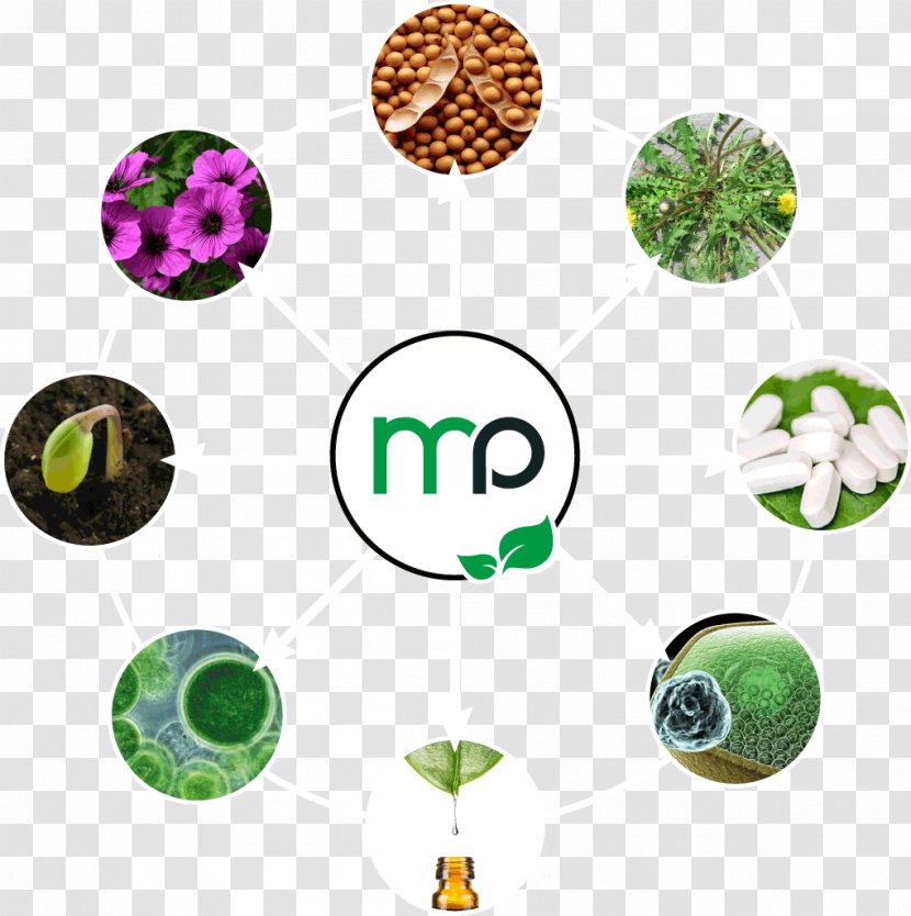 Micropep Technologies Application Domain TWB Toulouse White Biotechnology Bioproduction - Molecule - Pep Transparent PNG