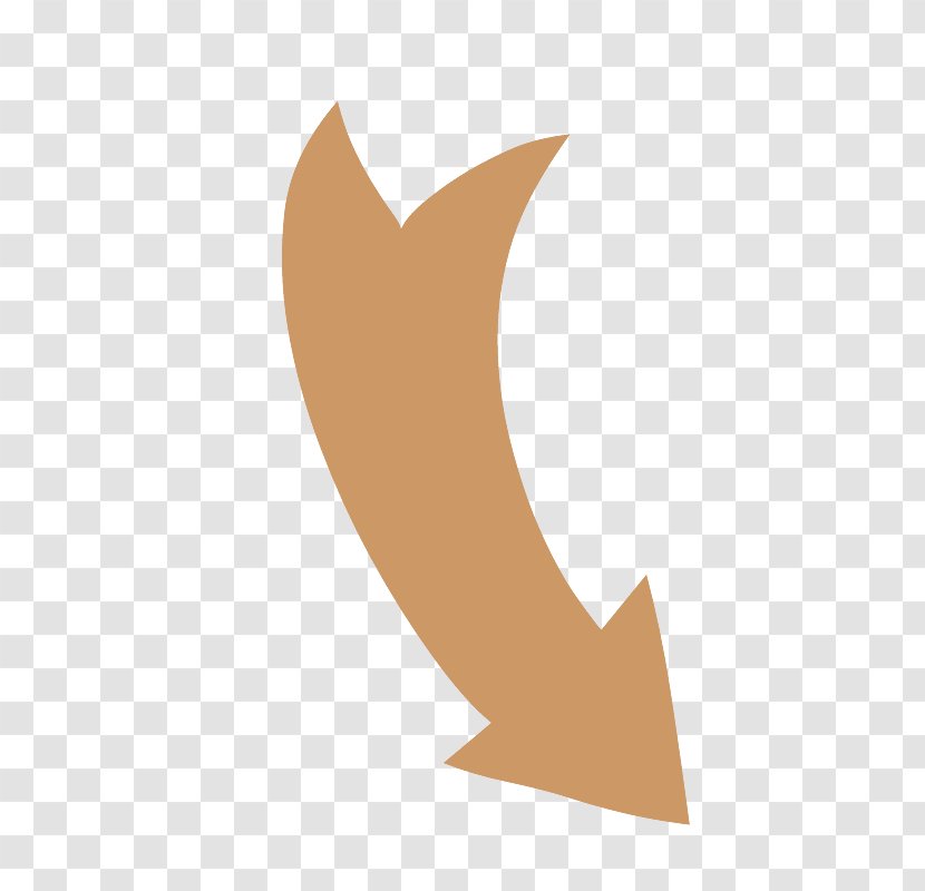 Down Curved Arrow Shapes. - Wing - Tail Transparent PNG
