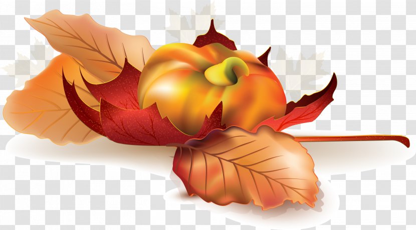 Autumn Advertising Design Image Vector Graphics - Food - Elements Transparent PNG