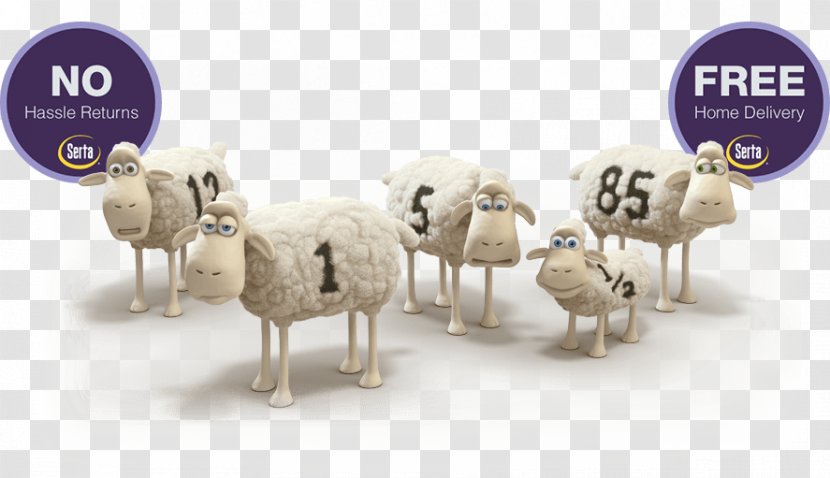 Counting Sheep Serta Mattress Advertising - Livestock - Flyer Mattresses Transparent PNG