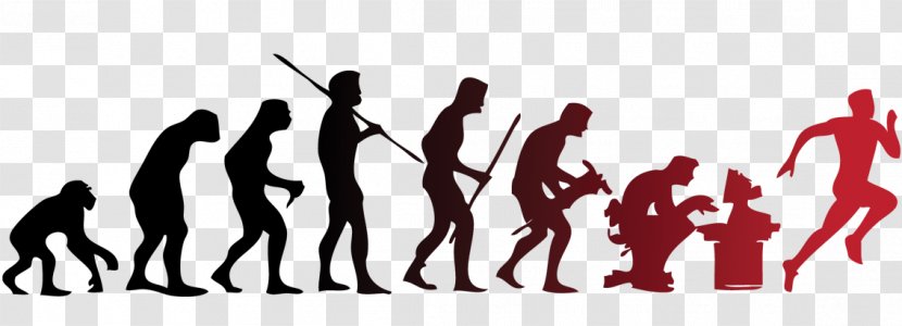 Human Evolution Evolutionary Psychology Ape - Life - To Transparent PNG