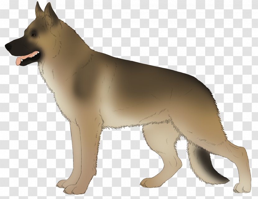 Dog Breed Canaan Korean Jindo Saarloos Wolfdog German Shepherd - Mammal - Linda E Transparent PNG