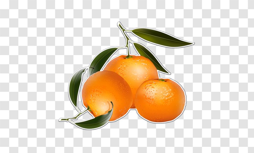 Orange Juice Mandarin Clip Art Transparent PNG