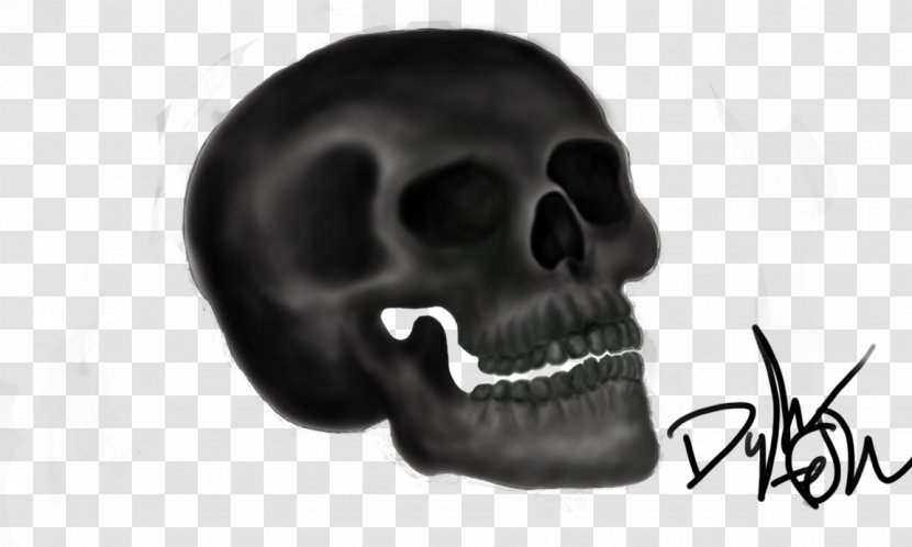 Skull White Font - Bone Transparent PNG