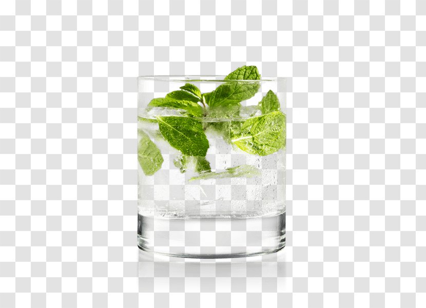 Mint Julep Mojito Rickey Gin And Tonic Rebujito - Cocktail Garnish Transparent PNG