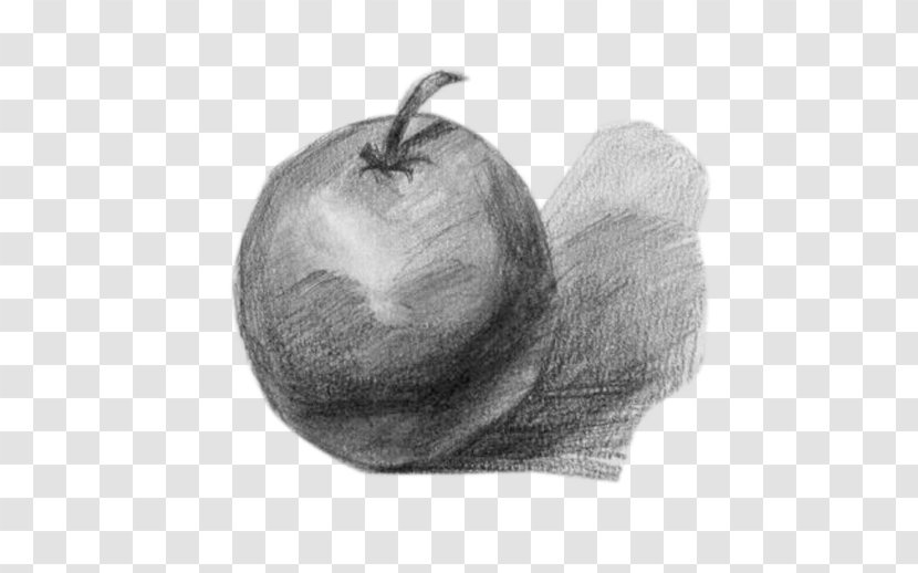 Drawing Geometry Painting - Apple Graphic Gypsum Transparent PNG