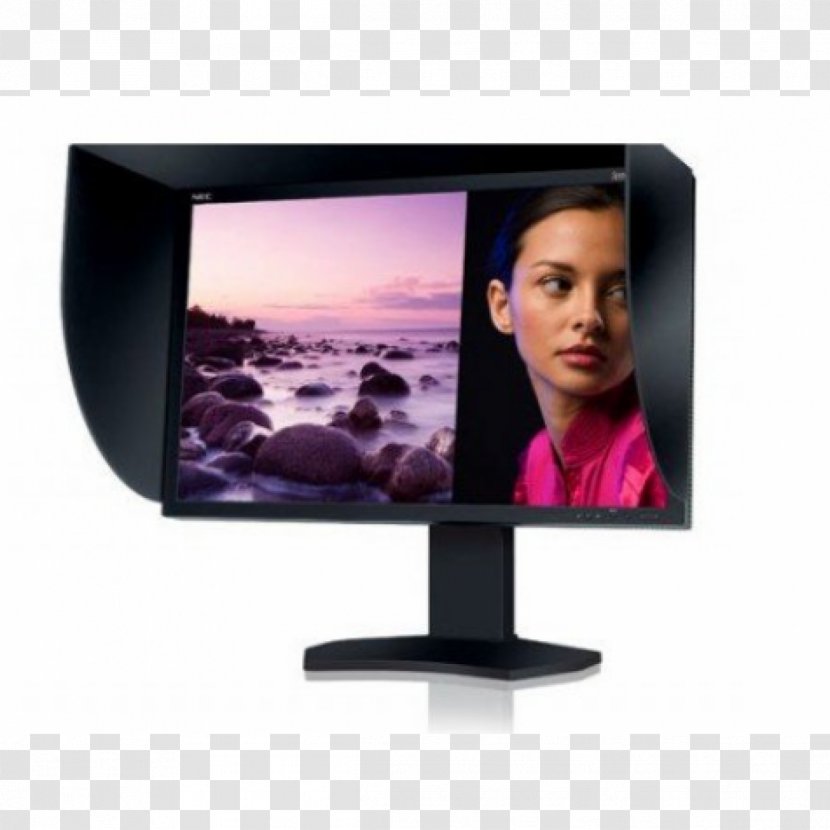 Computer Monitors IPS Panel Liquid-crystal Display Monitor SpectraView Reference 272 LCD-Display 68,5 Cm (27