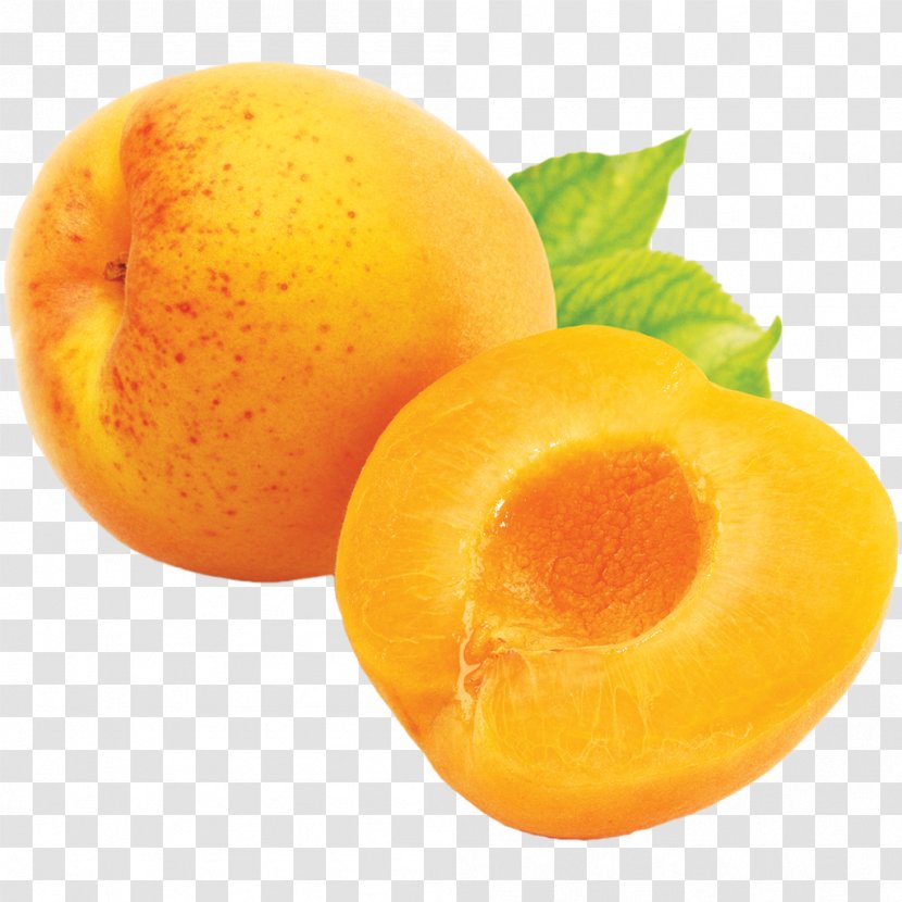 Apricot Fruit - Superfood Transparent PNG