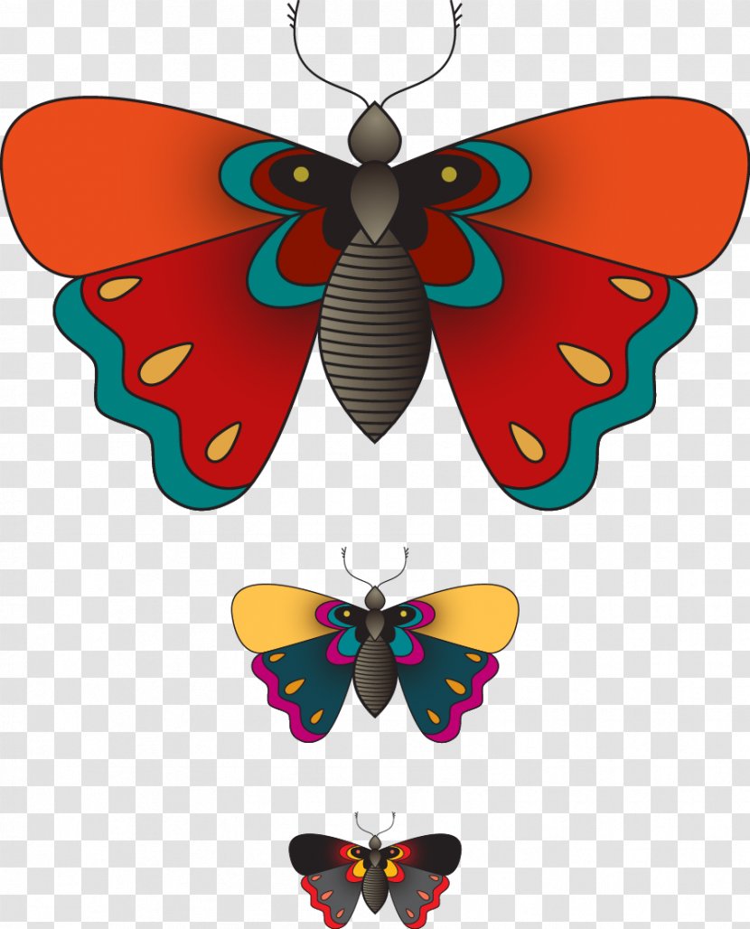 Monarch Butterfly Illustration - Invertebrate - Vector Transparent PNG