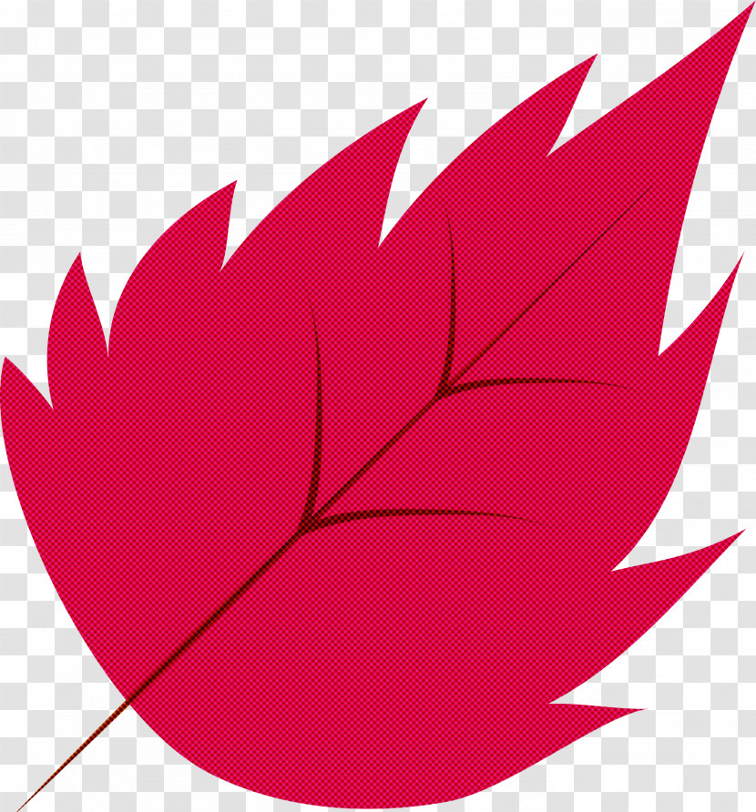 Autumn Leaf Autumn Color Transparent PNG