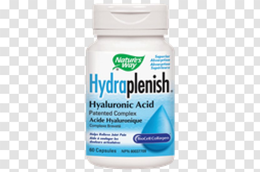 Dietary Supplement Nature's Way Methylsulfonylmethane Capsule Hyaluronic Acid - Glucosamine Transparent PNG
