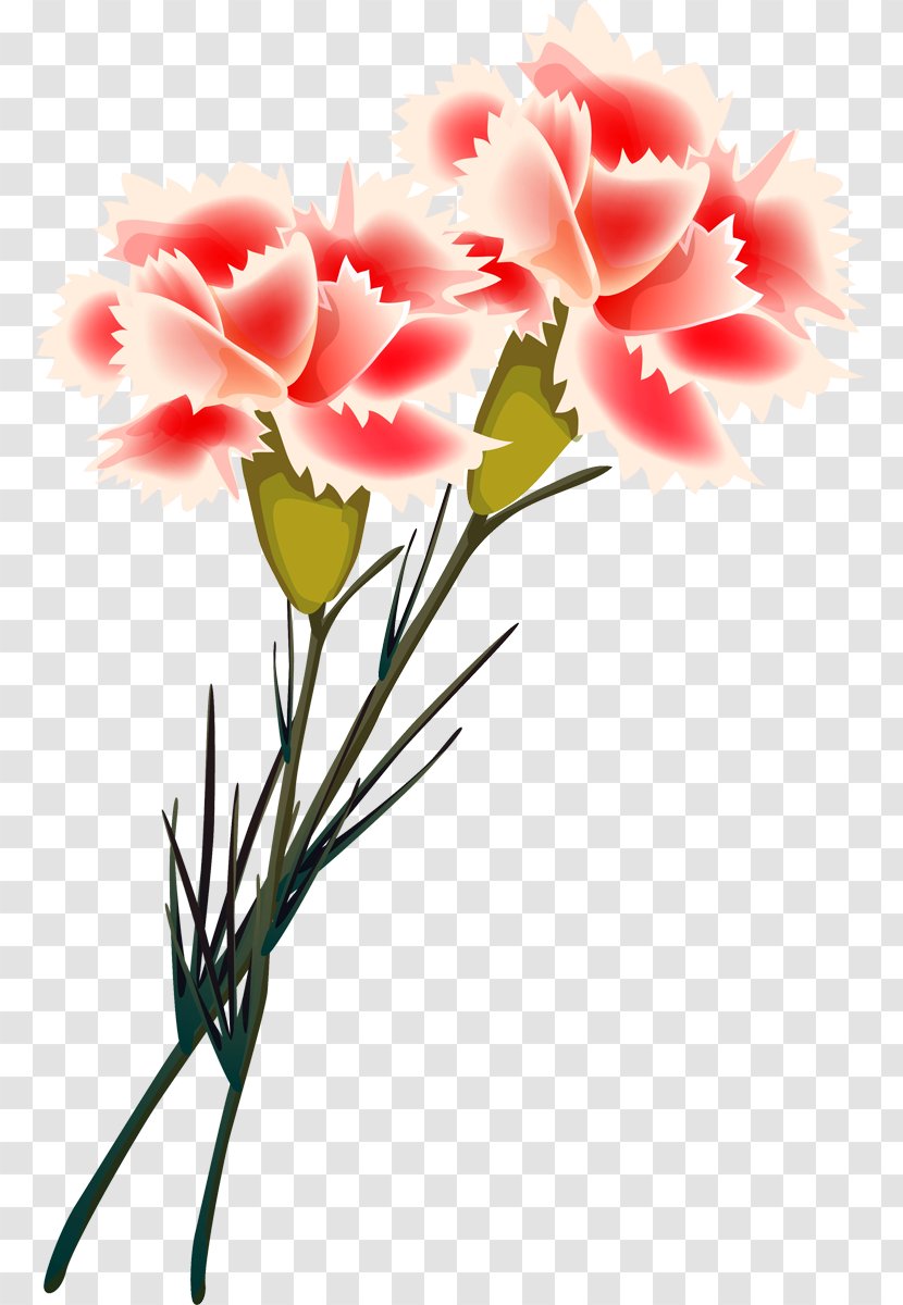 Carnation Cut Flowers Painting Floral Design - Flower Transparent PNG