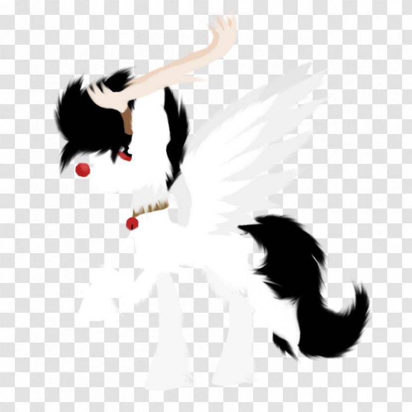 Feather Beak Tail - Wing Transparent PNG