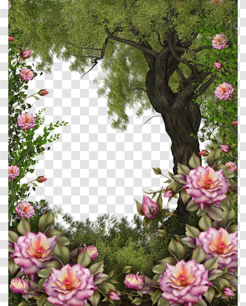 Picture Frames DeviantArt Clip Art - Rose Order - Natural Transparent PNG